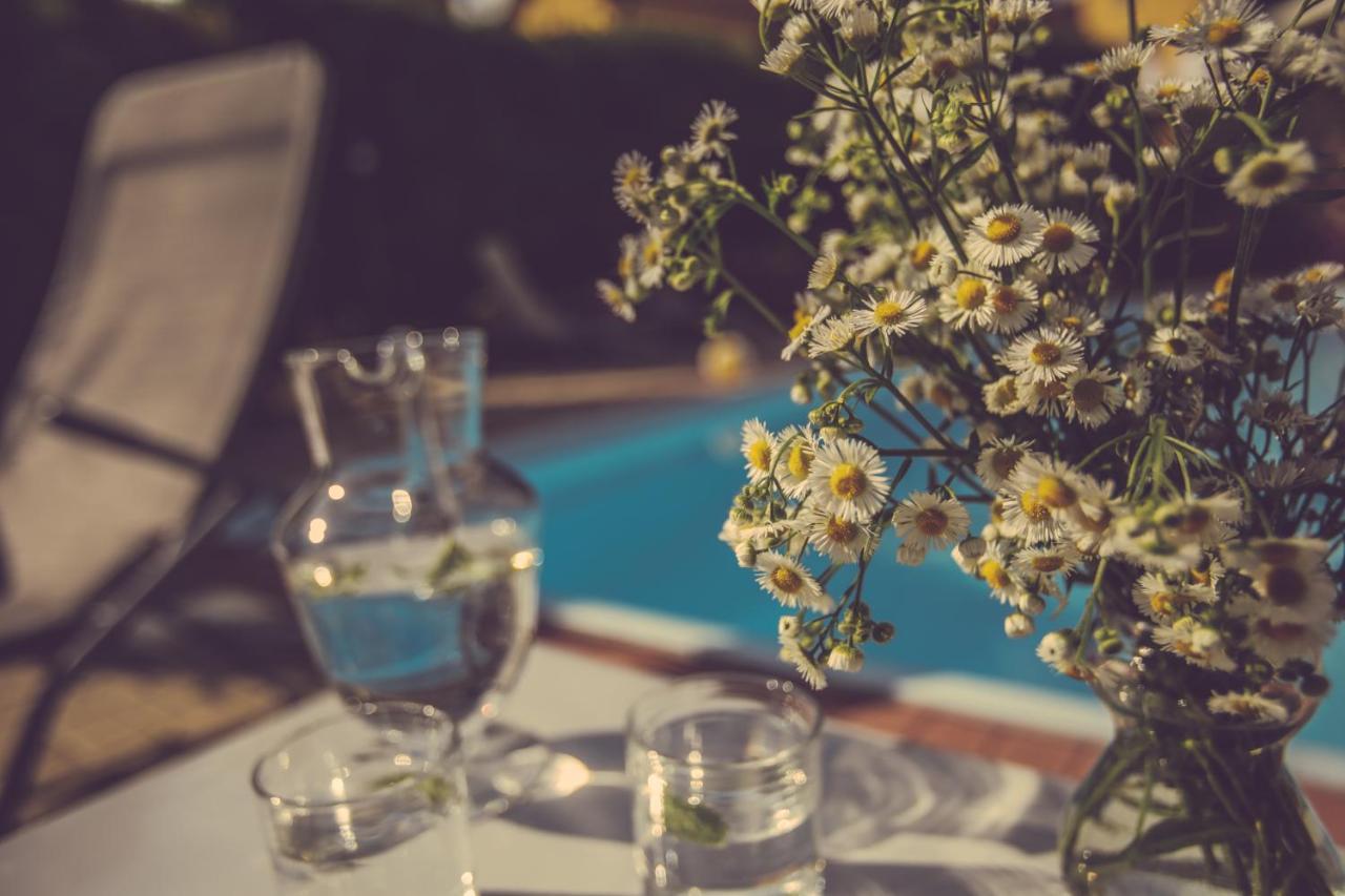 Agriturismo I Suri Асти Екстериор снимка